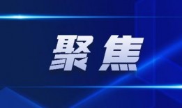 最新回响爆料新闻,揭秘回响新闻背后的惊人真相