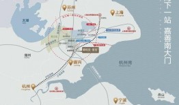 成武五中爆料事件最新消息,最新进展及影响揭秘