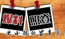 最新回响爆料新闻,揭秘回响新闻背后的惊人真相